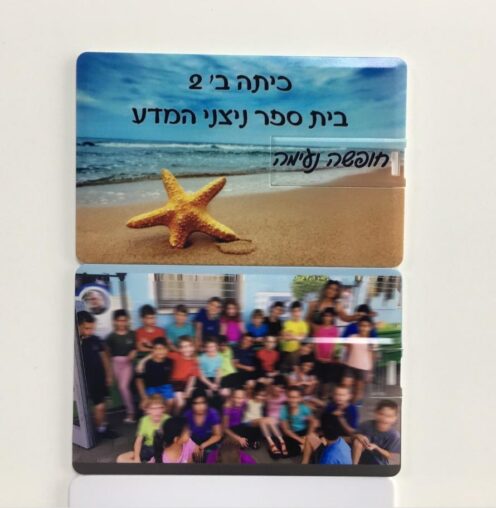 Organism, Gesture, Travel, Art, Adaptation, Starfish, Animal