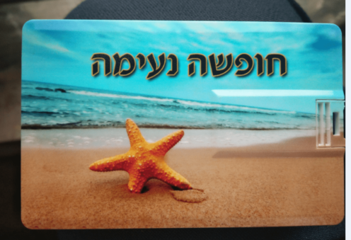 Photograph, Water, Marine invertebrates, Nature, Azure, Starfish